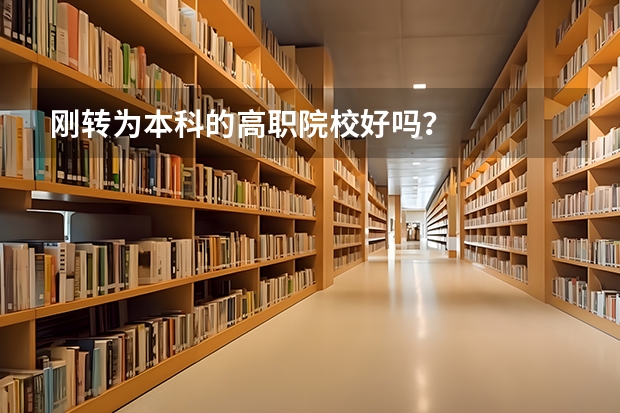 刚转为本科的高职院校好吗？