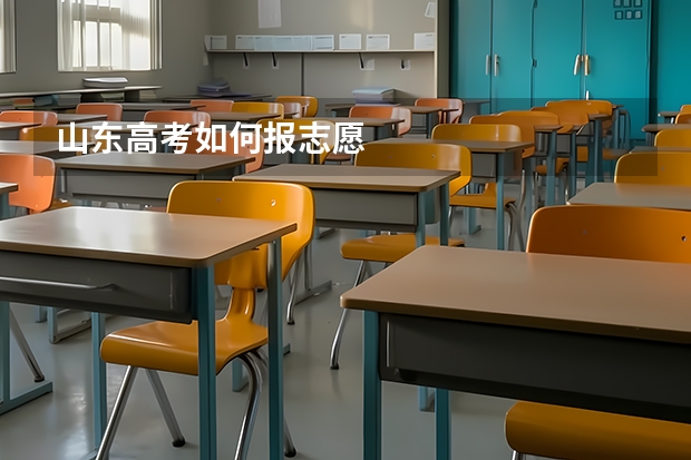 山东高考如何报志愿