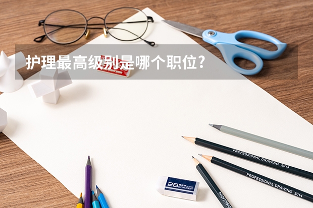 护理最高级别是哪个职位?