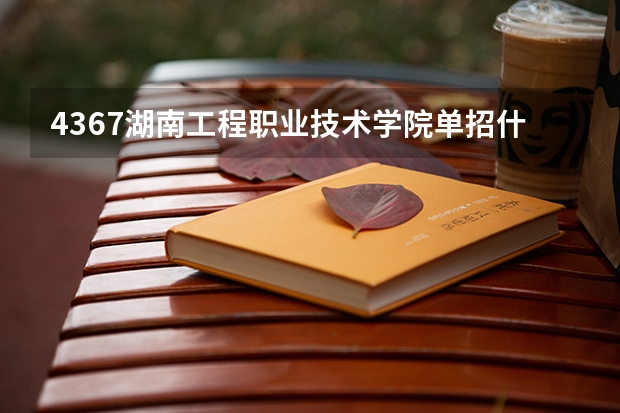 4367湖南工程职业技术学院单招什么时候面试