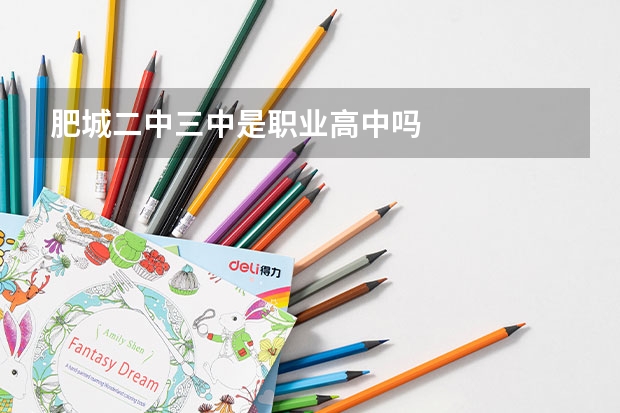 肥城二中三中是职业高中吗