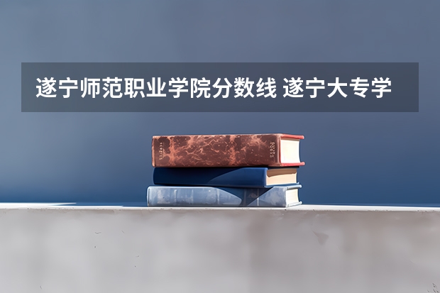 遂宁师范职业学院分数线 遂宁大专学校分数线