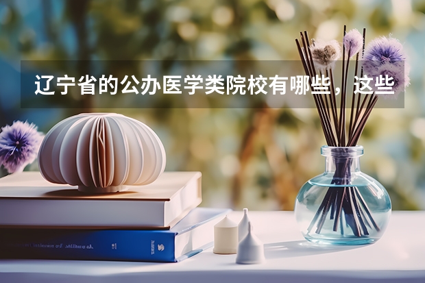 辽宁省的公办医学类院校有哪些，这些学校都怎么样呢？