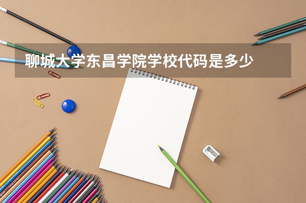 聊城大学东昌学院学校代码是多少
