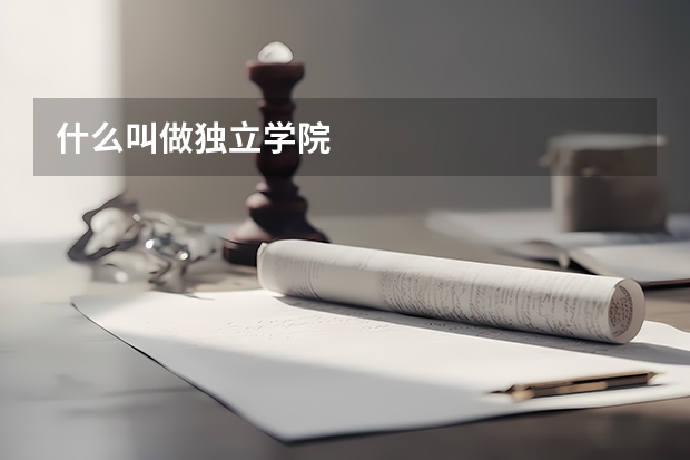 什么叫做独立学院