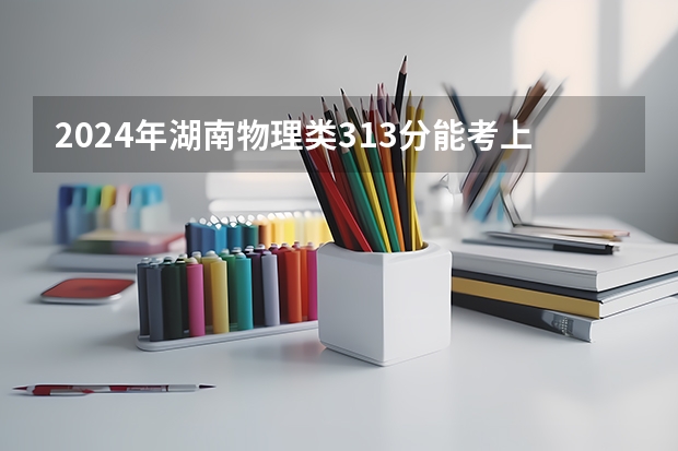 2024年湖南物理类313分能考上什么大学?