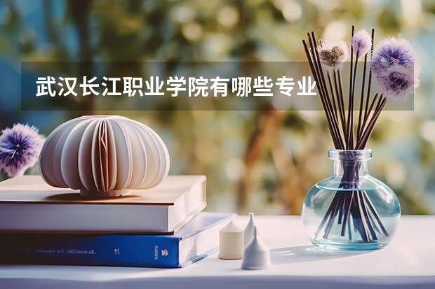 武汉长江职业学院有哪些专业
