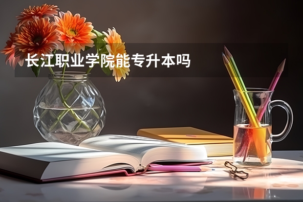 长江职业学院能专升本吗