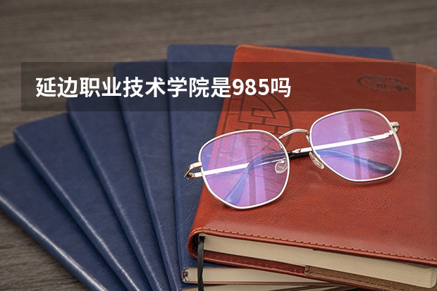 延边职业技术学院是985吗