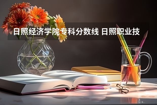 日照经济学院专科分数线 日照职业技术学院
