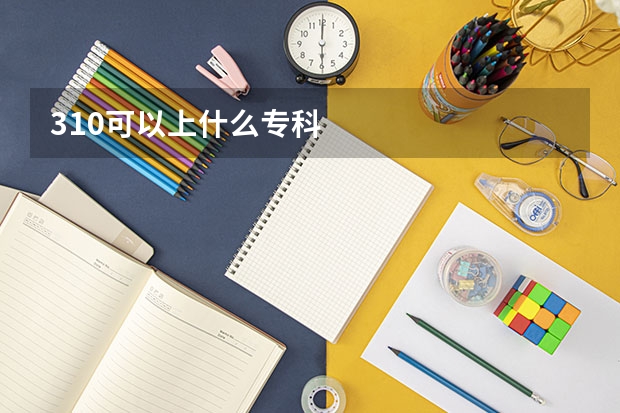 310可以上什么专科