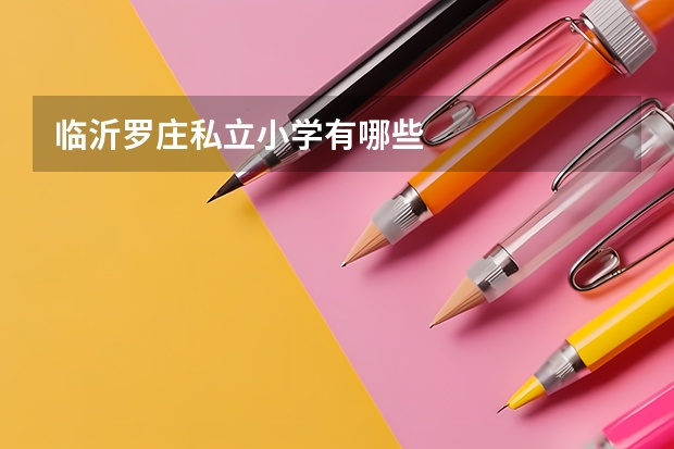 临沂罗庄私立小学有哪些