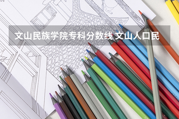 文山民族学院专科分数线 文山人口民族