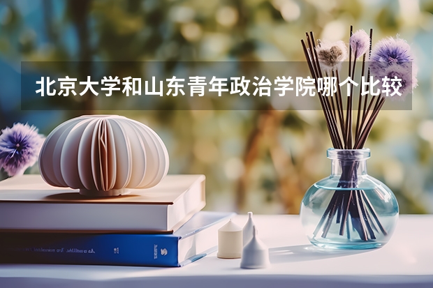北京大学和山东青年政治学院哪个比较好 历年录取分数线对比