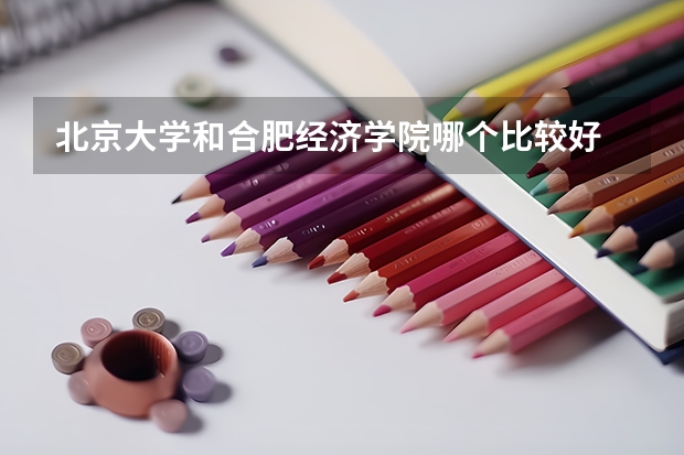 北京大学和合肥经济学院哪个比较好 历年录取分数线对比
