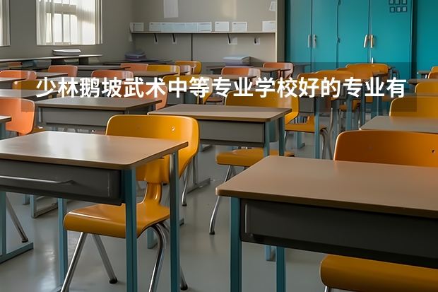 少林鹅坡武术中等专业学校好的专业有哪些 少林鹅坡武术中等专业学校每个专业招生情况