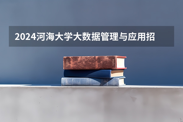 2024河海大学大数据管理与应用招生分数线是多少 河海大学大数据管理与应用专业历年分数线总汇
