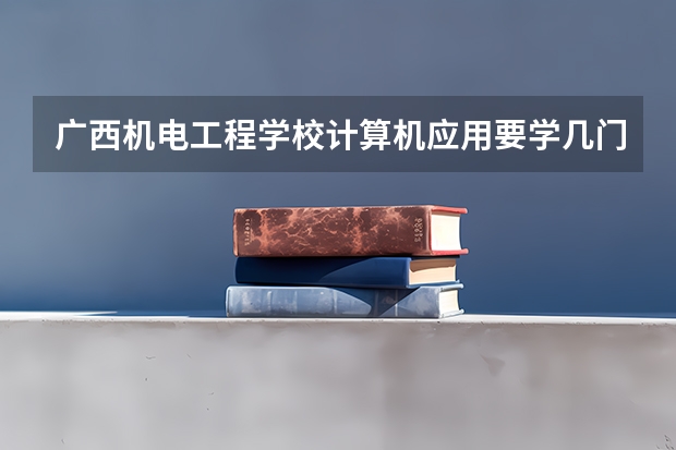 广西机电工程学校计算机应用要学几门课程 专业能力要求是什么